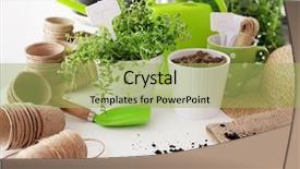  Presentation with sage - Amazing PPT theme having season sage - gardening tools on white background backdrop and a yellow colored foreground