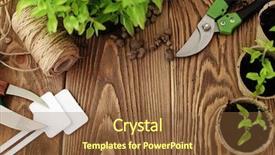  Presentation with sage - Slide set consisting of season sage - gardening tools on wooden background background and a tawny brown colored foreground