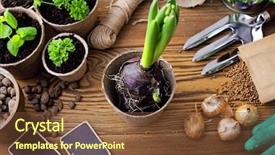  Presentation with gardening tools on fertile soil - Slide deck with season sage - gardening tools on wooden background background and a tawny brown colored foreground