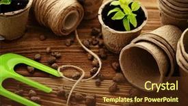  Presentation with gardening the seed - Audience pleasing PPT layouts consisting of season sage - gardening tools watering can seeds backdrop and a tawny brown colored foreground