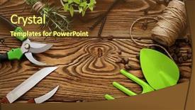  Presentation with gardening the seed - Cool new PPT theme with season sage - gardening tools watering can seeds backdrop and a tawny brown colored foreground