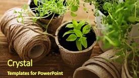  Presentation with seed germination agriculture growing plants - Slide set featuring season sage - gardening tools watering can seeds background and a tawny brown colored foreground