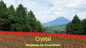  Presentation with salvia - Colorful presentation design enhanced with season sage - red salvia farm and mountain backdrop and a tawny brown colored foreground