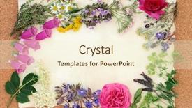  Presentation with sage - Audience pleasing PPT theme consisting of season sage - summer flower and herb selection backdrop and a cream colored foreground