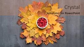  Presentation with maple - Audience pleasing presentation consisting of seasonal-autumn-background-frame backdrop and a gold colored foreground