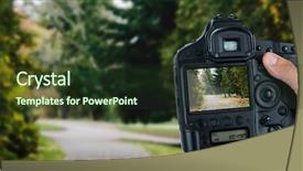  Presentation with change - Audience pleasing theme consisting of seasonal change - cropped hand of photographer holding backdrop and a tawny brown colored foreground