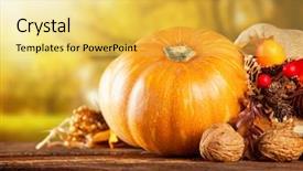  Presentation with agriculture - Audience pleasing presentation theme consisting of seasonal harvested agriculture products on wooden planks with blur background backdrop and a yellow colored foreground