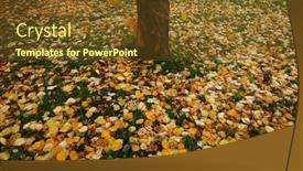  Presentation with leaves falling - Beautiful presentation featuring seasonal image of colorful autumn leaves falling to the ground movement of leaves is motion blurred backdrop and a tawny brown colored foreground