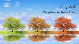  Presentation with sky blue - Theme consisting of seasonal trees with blue sky background and a light blue colored foreground