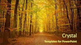 Presentation with pathway - PPT theme enhanced with seasonsof tree - pathway in the autumn forest background and a tawny brown colored foreground