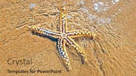  Presentation with water ocean - Colorful slide deck enhanced with seastar in the water backdrop and a coral colored foreground