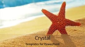  Presentation with footprints and sand beach - PPT layouts featuring seastar on a white sand background and a gold colored foreground