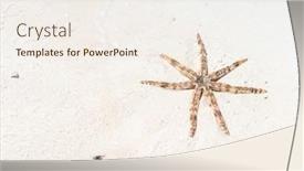  Presentation with star - Beautiful PPT theme featuring seastar-sea-star backdrop and a sky blue colored foreground