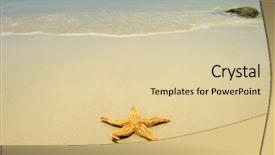  Presentation with beach - Beautiful presentation featuring seastar-sitting-on-beach backdrop and a lemonade colored foreground