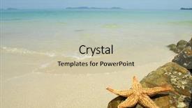  Presentation with beach - PPT theme having seastar sitting on beach background and a soft green colored foreground