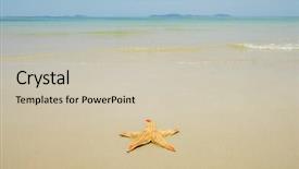  Presentation with beach - Theme featuring seastar sitting on beach background and a soft green colored foreground