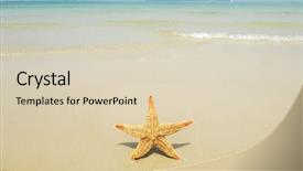  Presentation with beach - Presentation enhanced with seastar-sitting-on-beach background and a soft green colored foreground