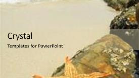  Presentation with beach - PPT theme enhanced with seastar-sitting-on-beach background and a lemonade colored foreground
