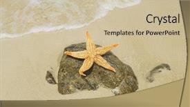  Presentation with beach - Presentation having seastar-sitting-on-beach background and a soft green colored foreground
