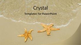  Presentation with beach - Beautiful presentation theme featuring two dried fish - seastar sitting on beach backdrop and a coral colored foreground