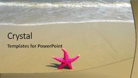  Presentation with beach - Cool new presentation theme with seastar sitting on beach backdrop and a mint green colored foreground