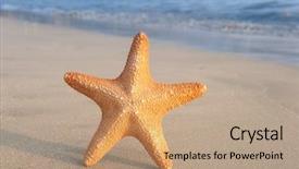  Presentation with beach - Presentation theme enhanced with seastar sitting on beach background and a coral colored foreground