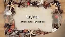  Presentation with parchment paper - Presentation design with seaweed and driftwood abstract border background and a  colored foreground