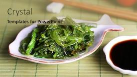  Presentation with seaweed - Audience pleasing theme consisting of seaweed-salad-in-plate backdrop and a mint green colored foreground