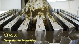  Presentation with seaweed - Presentation theme having seaweed salad mixed with carrot spices and oil being processed in special machine background and a tawny brown colored foreground