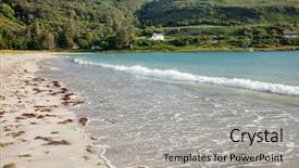  Presentation with seaweed - Slides having seaweed washed out at white background and a light gray colored foreground
