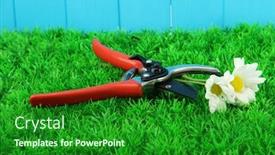  Presentation with grass - Beautiful PPT theme featuring secateurs-with-flower-on-grass backdrop and a forest green colored foreground