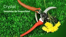  Presentation with grass - Presentation enhanced with secateurs-with-flower-on-green background and a forest green colored foreground