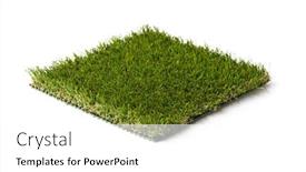  Presentation with grass - Theme having section-of-artificial-turf-grass background and a white colored foreground