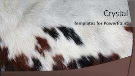  Presentation with leather shoes - Amazing presentation design having purses and shoes to gun backdrop and a light gray colored foreground