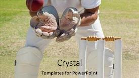  Presentation with field - Theme having section of wicketkeeper catching ball background and a mint green colored foreground