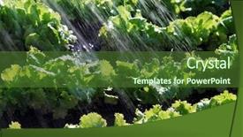  Presentation with economy - Cool new presentation design with sector economy - rain waters on the field backdrop and a tawny brown colored foreground