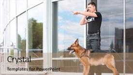  Presentation with police dog - Audience pleasing presentation theme consisting of security guard with dog near backdrop and a coral colored foreground