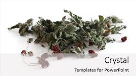  Presentation with set of dried herbs - PPT theme having sedation - herbal tea dried mint background and a light gray colored foreground