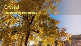  Presentation with fall colors - Amazing slide deck having  backdrop and a  colored foreground