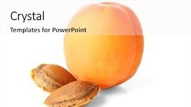  Presentation with maroon and white - Audience pleasing slides consisting of seed bitterness - apricot with kernels on white backdrop and a  colored foreground