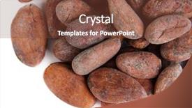  Presentation with cocoa beans - PPT theme having seed bitterness - cocoa beans isolated on white background and a tawny brown colored foreground