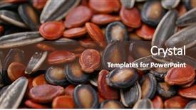  Presentation with lunar new year - Cool new slides with seed for lunar new year backdrop and a tawny brown colored foreground