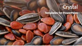  Presentation with lunar - Colorful presentation enhanced with seed for lunar new year backdrop and a tawny brown colored foreground