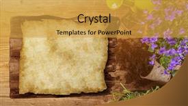  Presentation with seed growing - Colorful slide set enhanced with seed growing - gardening tools and flowers backdrop and a yellow colored foreground