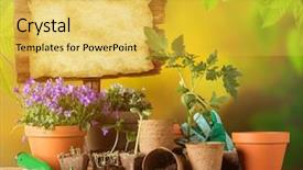  Presentation with seed growing - PPT layouts featuring seed growing - gardening tools and flowers background and a yellow colored foreground