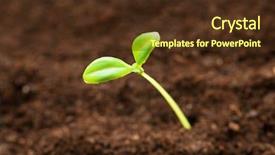  Presentation with seed growing - Beautiful slide deck featuring seed growing - green seedling illustrating concept backdrop and a tawny brown colored foreground