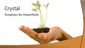  Presentation with seed growing - Amazing PPT layouts having seed growing - green seedling in the hand backdrop and a  colored foreground