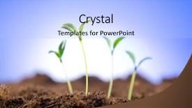  Presentation with seed growing - Amazing slide set having seed growing - green seedlings in new life backdrop and a  colored foreground