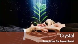  Presentation with seed growing - Beautiful slide set featuring seed growing - green sprout in human hands backdrop and a tawny brown colored foreground