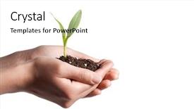  Presentation with seed growing - Cool new PPT layouts with close up of doctor writing something in the air with marker backdrop and a white colored foreground